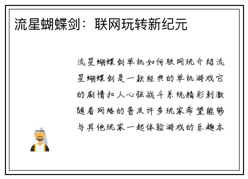 流星蝴蝶剑：联网玩转新纪元
